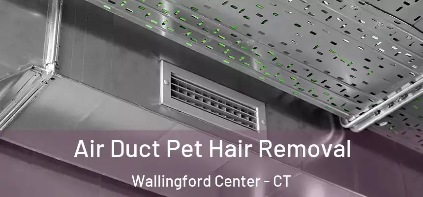  Air Duct Pet Hair Removal Wallingford Center - CT
