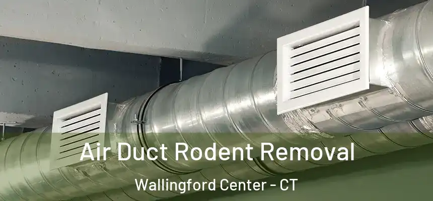 Air Duct Rodent Removal Wallingford Center - CT