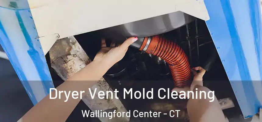  Dryer Vent Mold Cleaning Wallingford Center - CT