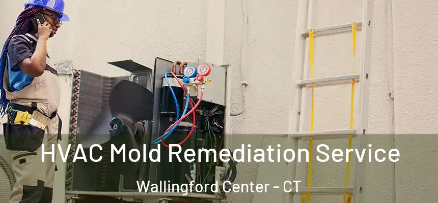 HVAC Mold Remediation Service Wallingford Center - CT