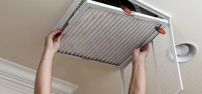 Preventive Cockroach-Proofing for Ducts in Wallingford Center
