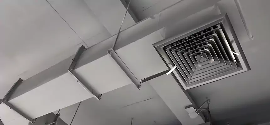 Our Pest Removal From Ducts Services in Wallingford Center, CT