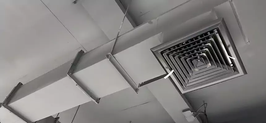 Our Rodent Droppings In Vents Services in Wallingford Center, CT