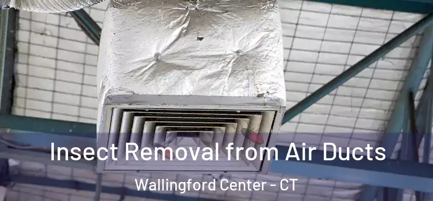 Insect Removal from Air Ducts Wallingford Center - CT