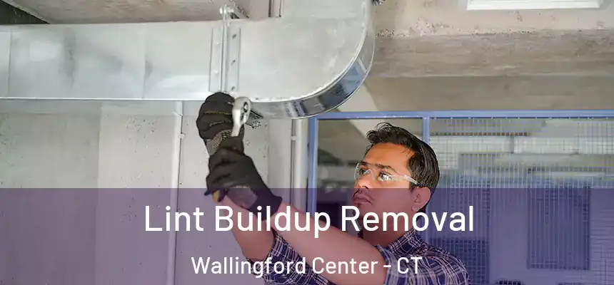  Lint Buildup Removal Wallingford Center - CT