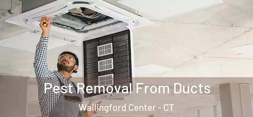  Pest Removal From Ducts Wallingford Center - CT