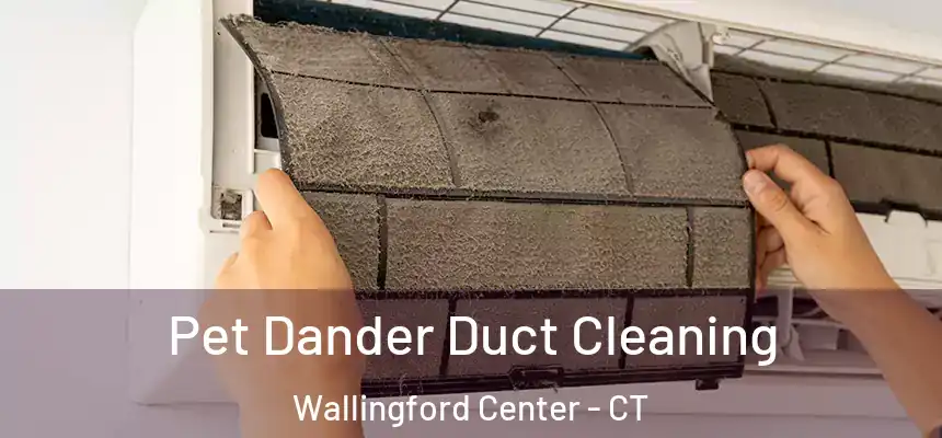  Pet Dander Duct Cleaning Wallingford Center - CT