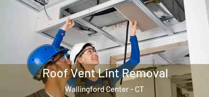 Roof Vent Lint Removal Wallingford Center - CT