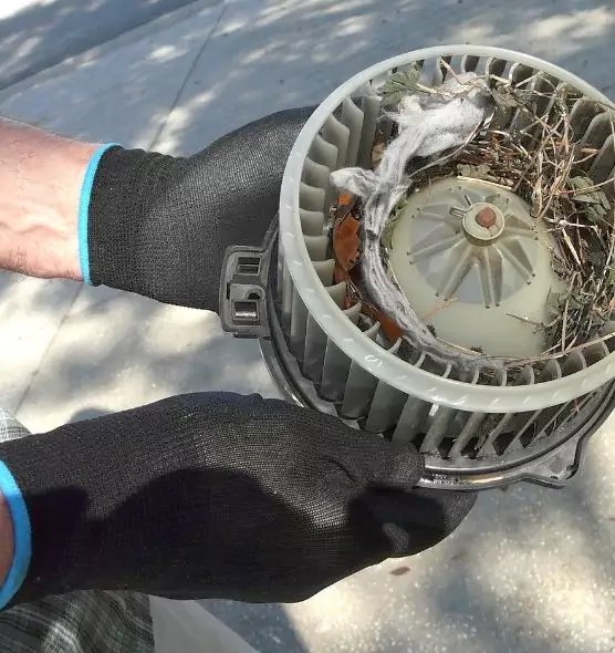 About Air Duct Rat Removal in Wallingford Center, CT