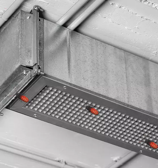 Affordable Insect Removal from Air Ducts in Wallingford Center, CT