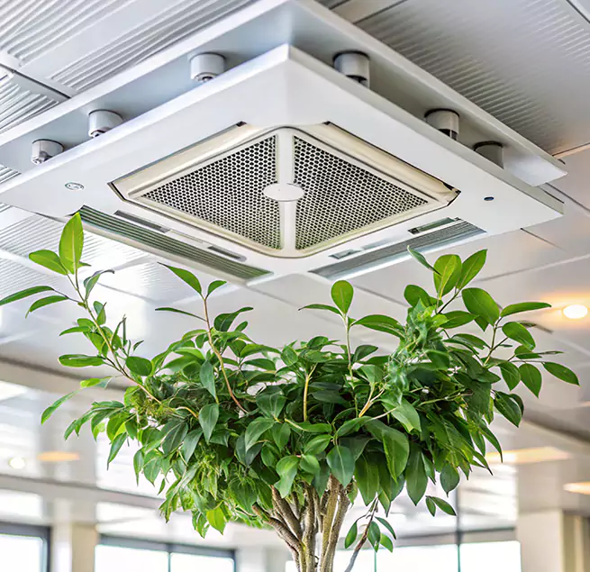 Why Homeowners & Businesses Trust Us in Wallingford Center, CT?